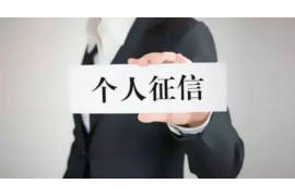 逊克逊克讨债公司服务