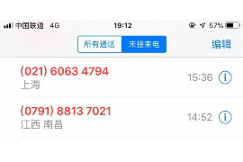 逊克如何避免债务纠纷？专业追讨公司教您应对之策